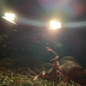 Meet your Posher, Ethan